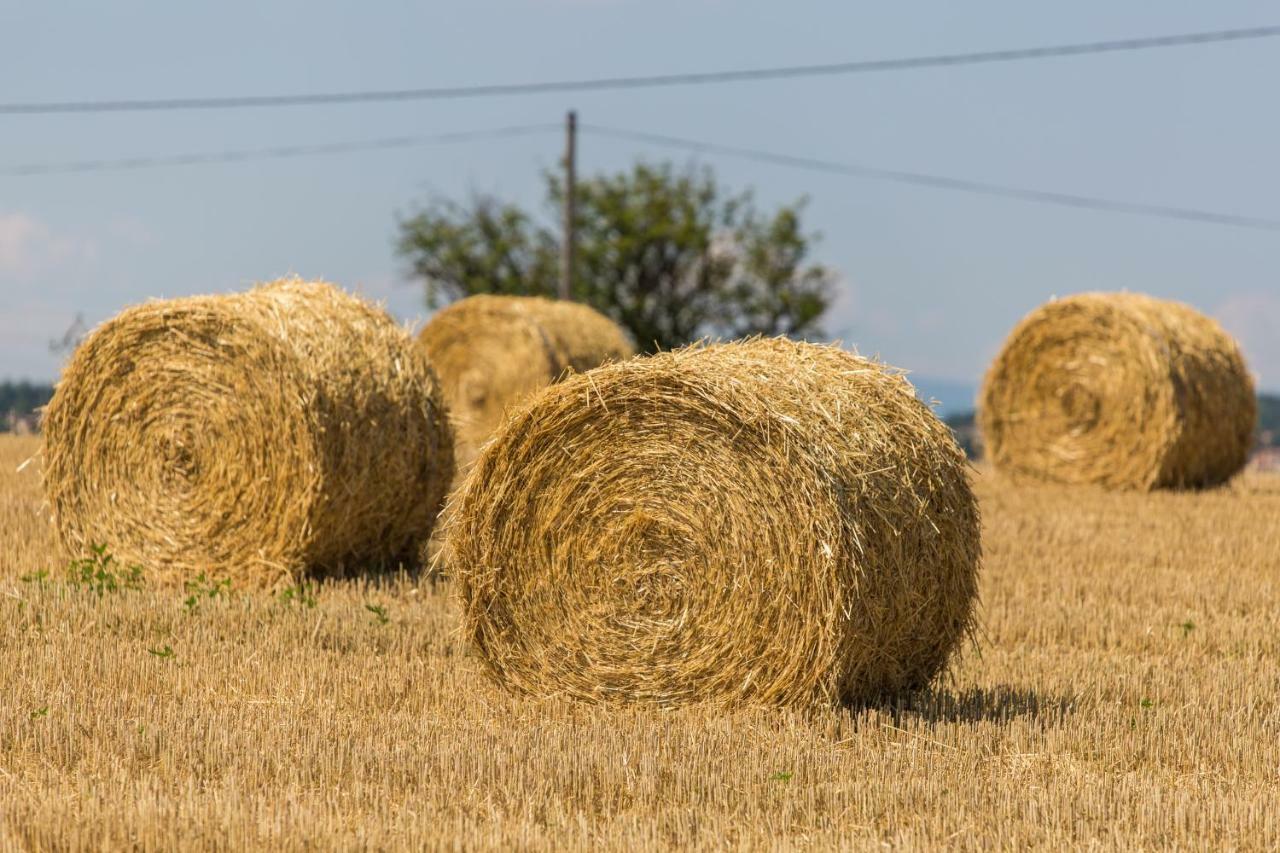 فيلا Les Mesanges Du Domaine Du Moulin 31 Trollat المظهر الخارجي الصورة